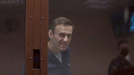 FILE PHOTO: Alexey Navalny.