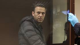 Alexey Navalny defamation case adjourned for a week – opposition figure being prosecuted for dubbing 94yo WWII veteran 'a traitor'