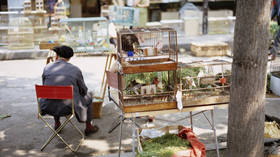 Paris to shut iconic bird market over animal welfare concerns