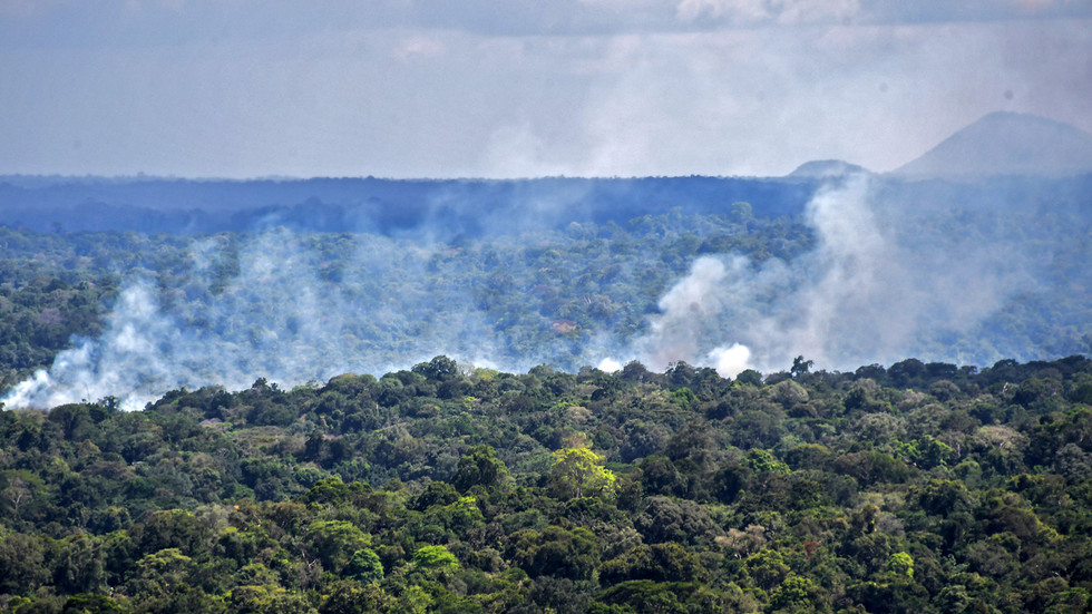 Scientists warn scientists that the Amazon rainforest is likely to warm the earth’s atmosphere and not cool it down – RT World News