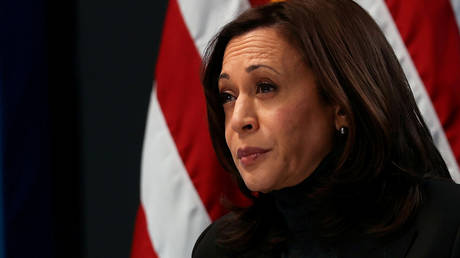 FILE PHOTO: Kamala Harris hosts a virtual town hall event at the White House in Washington, DC, February 18, 2021 © Reuters / Jonathan Ernst