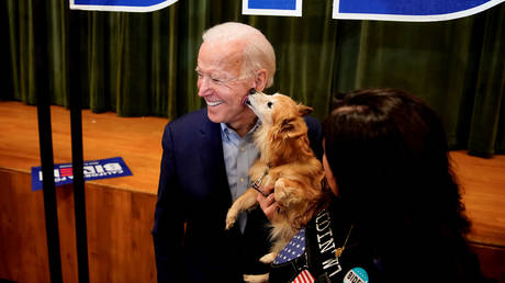 Cats and dogs living in harmony at the White House, or just another PR distraction in the Biden presidency? (file photo)