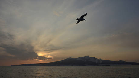 A seagull flies above the waters of the Pacific Ocean near the Island of Kunashir, one of four islands known as the Southern Kuriles in Russia and the Northern Territories in Japan, December 20, 2016.