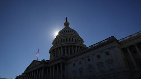 The American Flag stands at half staff commemorating victims of the coronavirus disease (COVID-19) pandemic, on Capitol Hill in Washington, U.S., February 25, 2021. © Reuters / Tom Brenner