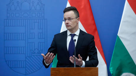 Hungarian Foreign Minister Peter Szijjarto, February 11, 2019 in Budapest, Hungary
