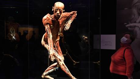 Russian investigators probe exhibit showcasing dissected human corpses after religious leaders slam Body Worlds show as &lsquo;immoral&rsquo;
