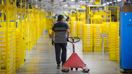 FILE PHOTO. An employee pulls a cart at Amazon's JFK8 distribution center in Staten Island, New York, U.S. November 25, 2020. © Reuters / Brendan McDermid.