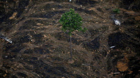 FILE PHOTO. An aerial view shows a deforested plot of the Amazon near Porto Velho, Rondonia State, Brazil, September 17, 2019. Picture taken September 17, 2019. © Reuters / Bruno Kelly