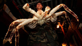 Russia’s wealthiest official, local Sakhalin politician Dmitry Pashov, arrested over links to ‘Crab King’ murder & smuggling cases