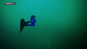 Intersectional imperialism: A wholesome menace