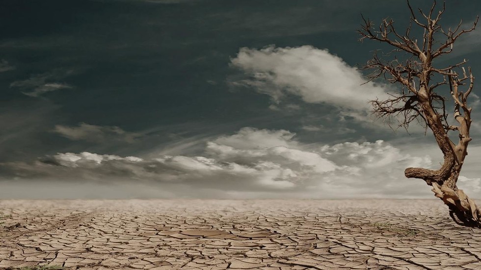 induced crop losses tripled in 50 years, threatening ... Biology Diagrams
