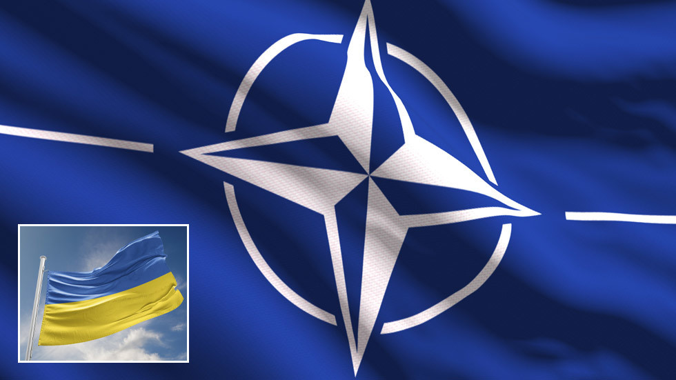 NATO has an open door policy, but Ukraine unlikely to walk through it any time soon, German officials say amid Donbass escalations