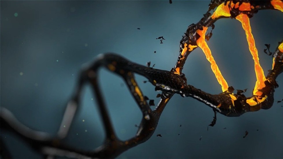 Nova tehnologija urejanja genov, ki spreminja igro, je popolnoma reverzibilna – RT World News
