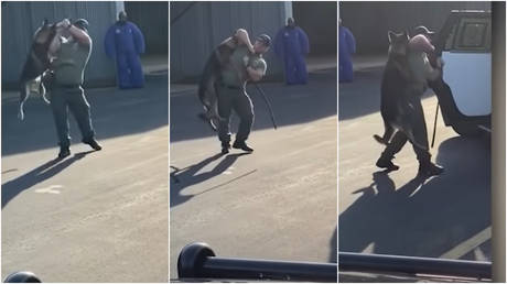 Salisbury, North Carolina police officer James Hampton is seen roughing up his own K9 companion in leaked department footage.