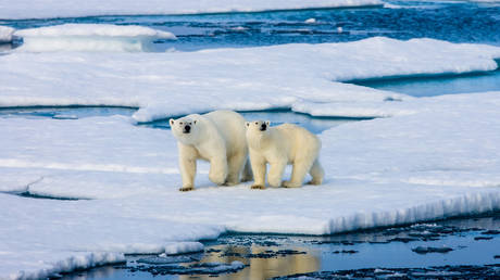 Russia to invest nearly $100 million to develop vessel for Arctic survey