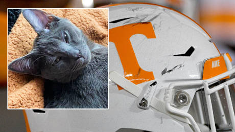 A Tennessee Vols prospect has reportedly injured a cat © Kaylee Scarborough / GoFundMe | © Denny Medley / USA Today Sports via Reuters