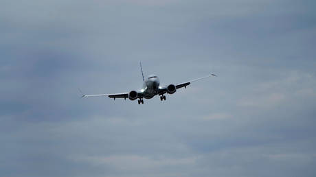 An American Airlines Boeing 737 MAX 8 © Reuters / Joshua Roberts