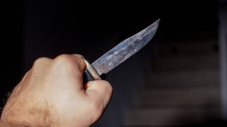 Cops hunting child murderer after 3 toddlers stabbed to death in Los Angeles