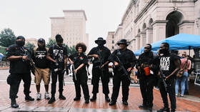 US at risk of armed anti-police insurgency within FIVE YEARS, researcher claims