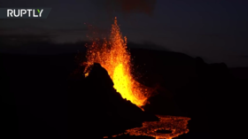 Flying, meat, pets... now having CHILDREN is a climate crime, green activists imply