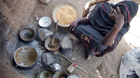 At least 155 million people globally facing food crisis, with 20 million added last year &ndash; report