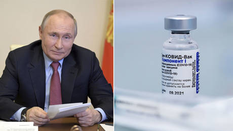 (L) Vladimir Putin © Sputnik / Alexei Druzhinin / Kremlin via REUTERS;  (R) 'Sputnik V' vaccine © Sputnik / Timur Batyrshin