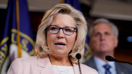 House Republican Conference Chair Liz Cheney speaks at a news conference on Capitol Hill