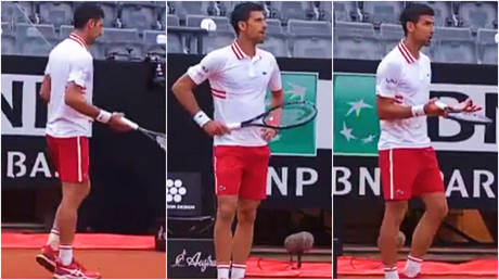 ‘Like a spoiled child’: Tennis star Novak Djokovic apologizes for furious Italian Open on-court outburst (VIDEO)