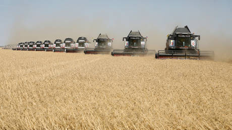 Russia becomes net exporter of food as import phase-out begins bearing fruit &ndash; PM