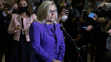 U.S. Representative Liz Cheney (R-WY) speaks to reporters after her removal as chair of the House Republican Conference on Capitol Hill in Washington, U.S., May 12, 2021 © REUTERS/Jonathan Ernst