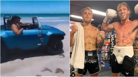 &lsquo;Jake Paul Go Home&rsquo;: YouTube boxing siblings ENRAGE locals in Puerto Rico by &lsquo;endangering turtles&rsquo; with beach buggy stunt (VIDEO)