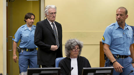 Bosnian Serb wartime leader Radovan Karadzic appears in the courtroom for his appeal judgement at the International Criminal Tribunal for Former Yugoslavia (ICTY) in The Hague, The Netherlands, on July 11 2013.