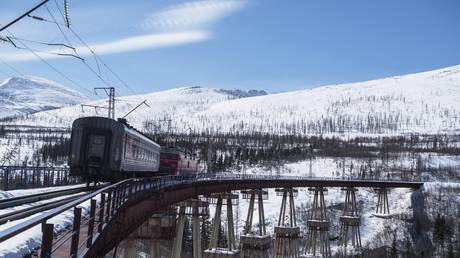 Echoes of the Gulag? Migrant advocate slams suggestion by Russian prison chief that convicts be used to replace foreign workers