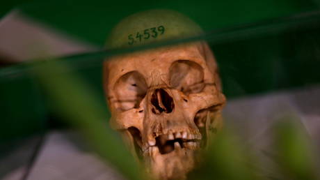 FILE PHOTO: Human skulls from the Herero and ethnic Nama people are displayed during a ceremony in Berlin, Germany, August 29, 2018, to hand back human remains from Germany to Namibia following the 1904-1908 genocide against the Herero and Nama.