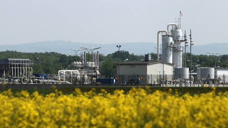 Austria's largest natural gas import and distribution station is pictured behind a field of rapeseed in Baumgarten. © Reuters / Heinz-Peter Bader