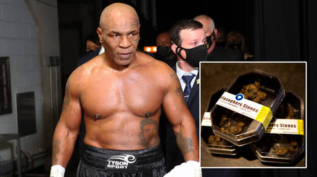 &lsquo;My whole life changed&rsquo;: Boxing icon Mike Tyson credits magic mushrooms with bringing him back from the brink of suicide