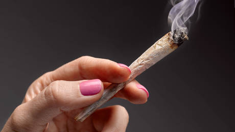 Workplace testing reveals record level of cannabis use among employees as more states legalize weed