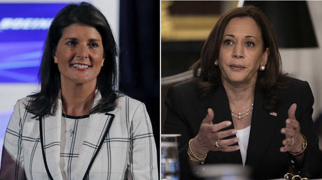 Ex-envoy to UN Nikki Haley calls VP Harris &lsquo;unprofessional and unfit&rsquo; over Memorial Day tweet, gets pilloried by blue checks