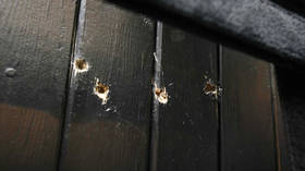 ‘Humanitarian’ agency USAID was ‘key tool’ for Washington undermining the Venezuelan government, official review reveals