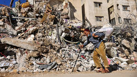 Newsweek condemned for ‘Nazi-esque’ article claiming ‘fleas’ in Palestine ‘must be destroyed’