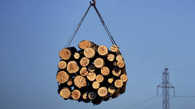 Russia to introduce export duties on green lumber sales to rein in price growth