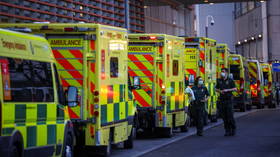 ‘Benefits outweigh the risks’? Fauci accused of ‘ramming through’ dangerous virus research funding without telling White House