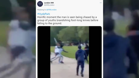 &lsquo;More black kids demonstrating their lives don&rsquo;t matter&rsquo;: Brits disgusted by gang stabbing in London&rsquo;s Hyde Park