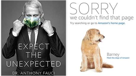 Dr. Anthony Fauci's book (left) has suddenly vanished from major US retailers' sites.