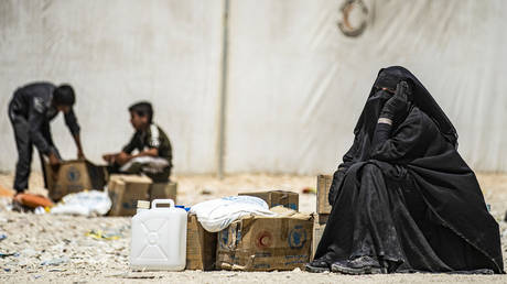 Millions on brink of disaster in Syria unless cross-border humanitarian operations extended, warns UN official