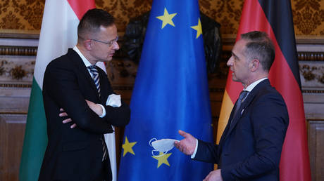 FILE PHOTO. Hungarian Foreign Minister Peter Szijjarto (L) and German Foreign Minister Heiko Maas talk during a session of the Committee of Ministers of the Council of Europe in Hamburg, northern Germany. © AFP / Marcus Brandt