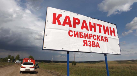 Alarm in Siberia as Tuvan village goes into QUARANTINE after 29-year-old local suspected to have rare & deadly anthrax disease