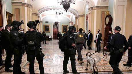 A heavy police force is evident at the Senate door after supporters of President Donald Trump breeched security at the U.S. Capitol, rioting through the Senate and House and disrupting the certification of President-elect Joe Biden, in Washington, U.S. January 6, 2021. © REUTERS/Mike Theiler