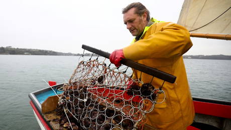 Oyster fisherman Adam Spargo in the Fal Estuary, Cornwall, Britain, December 30, 2020. Picture taken December 30, 2020