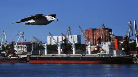 Сommercial port of Vladivostok in Russia